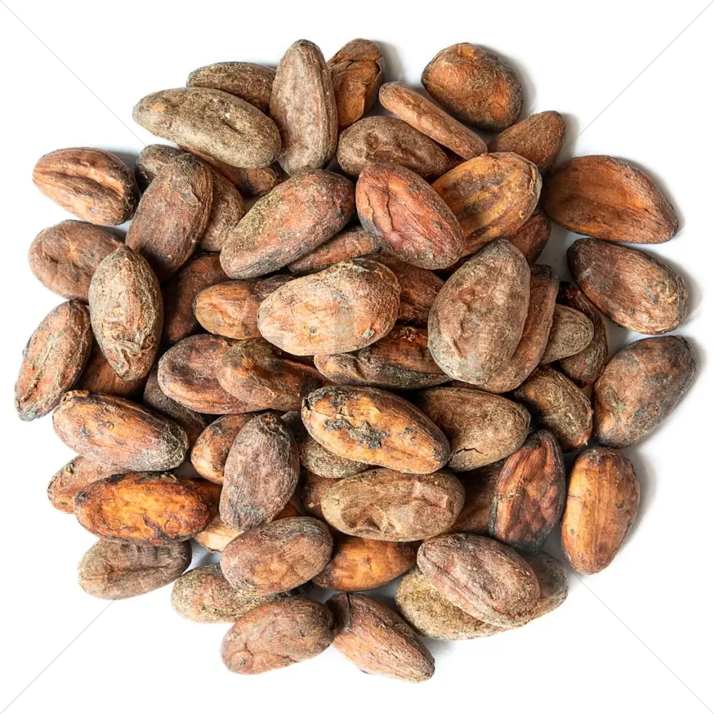 Cacao Beans Raw Organic