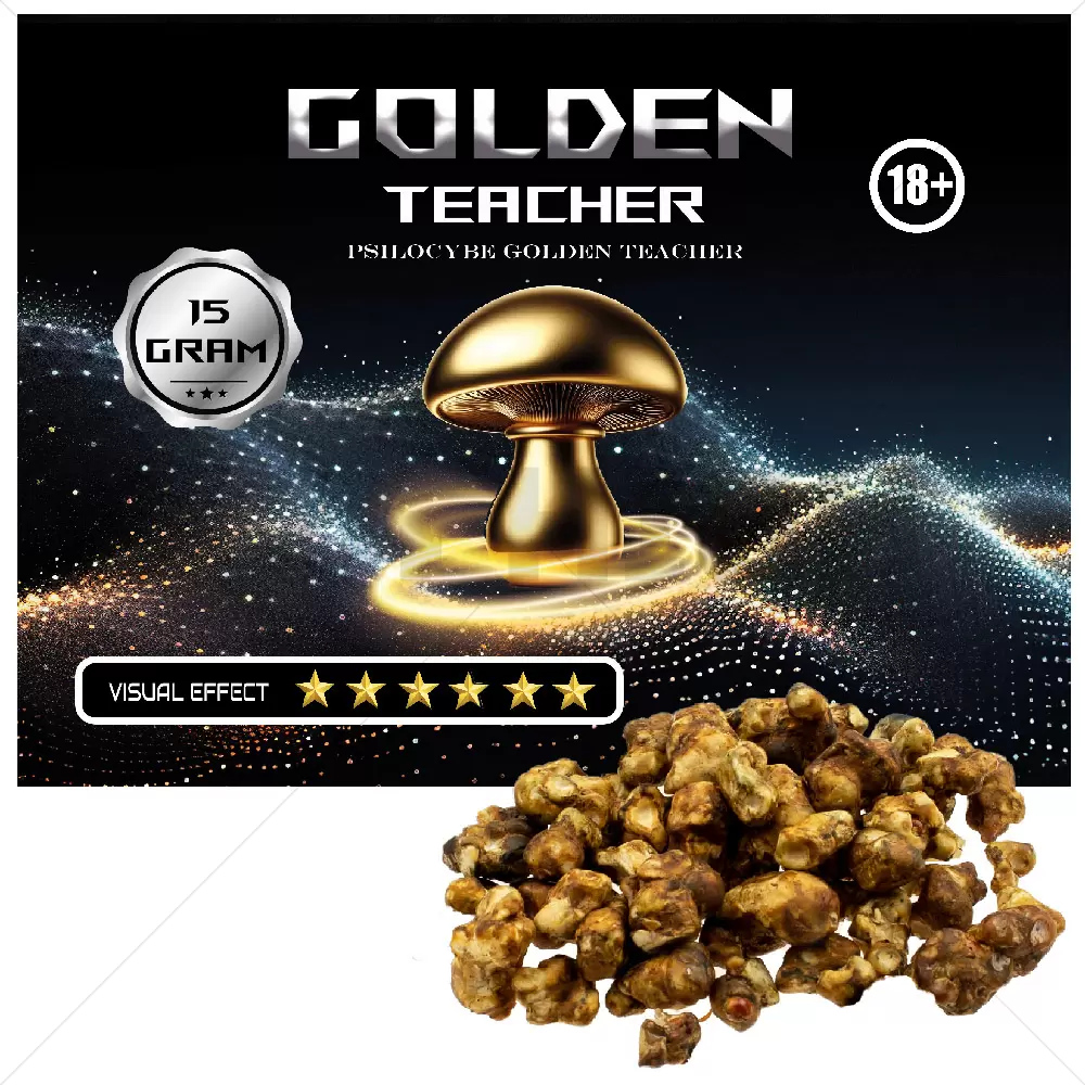 Psilocybe Golden Teacher Truffles