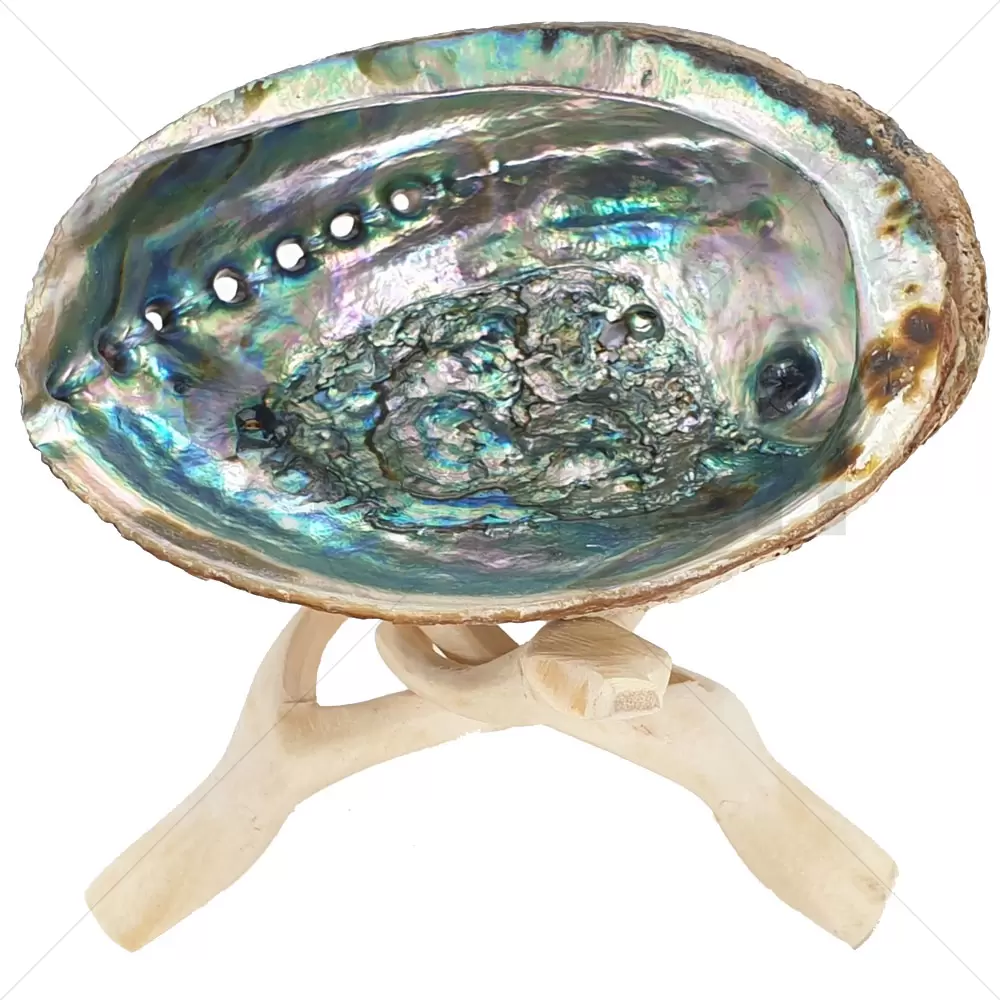 Cobra Tripod with Abalone Shell