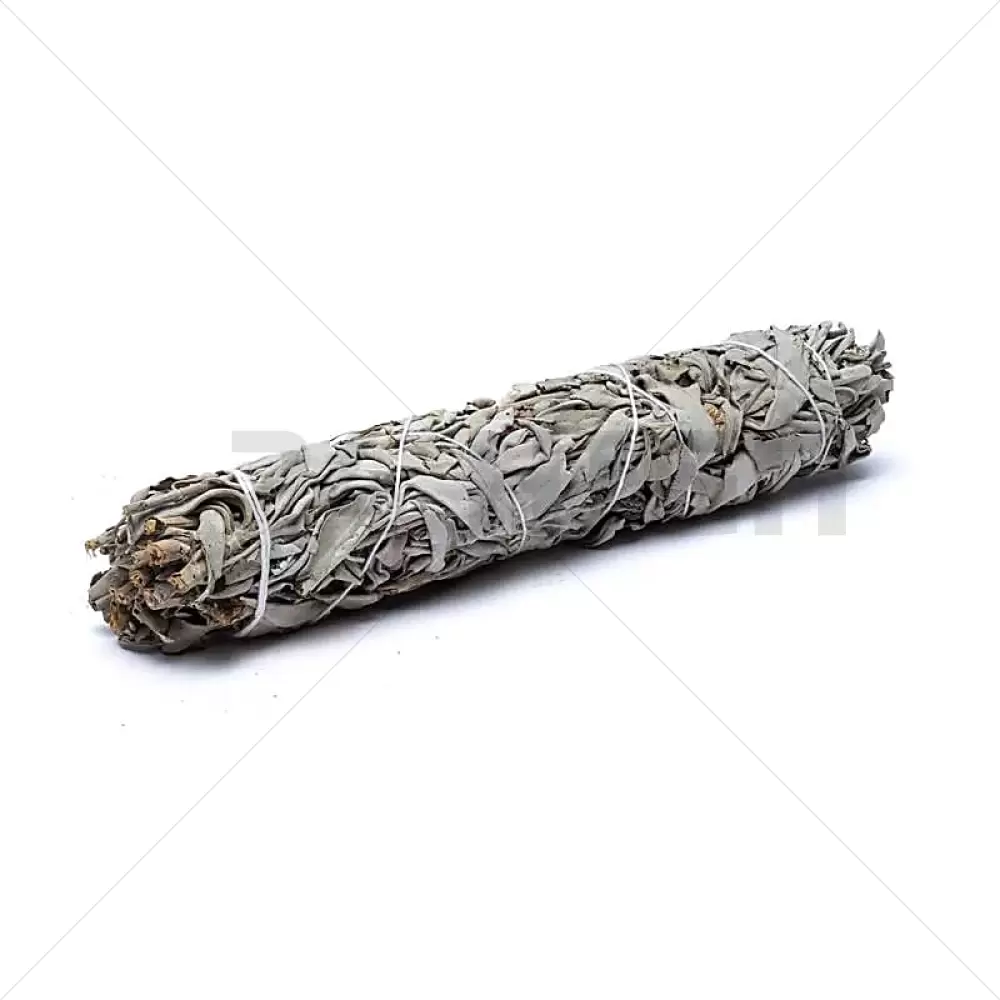 White sage smudge XL