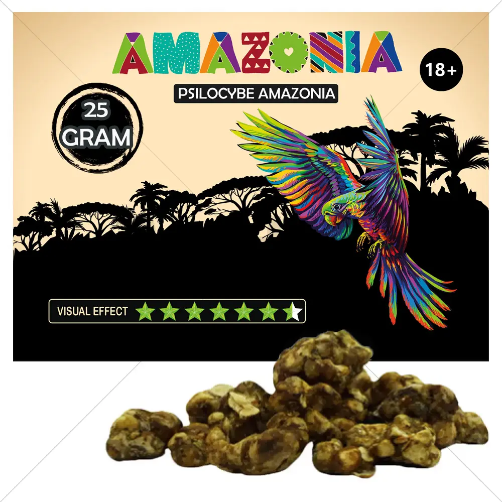 Psilocybe Amazonia Truffles