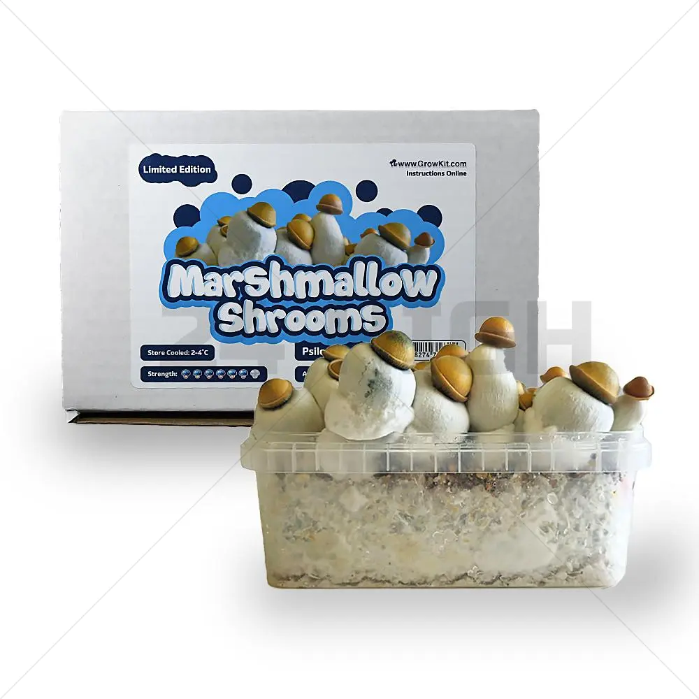 Marshmallow Shrooms Growkit XL (2100cc)