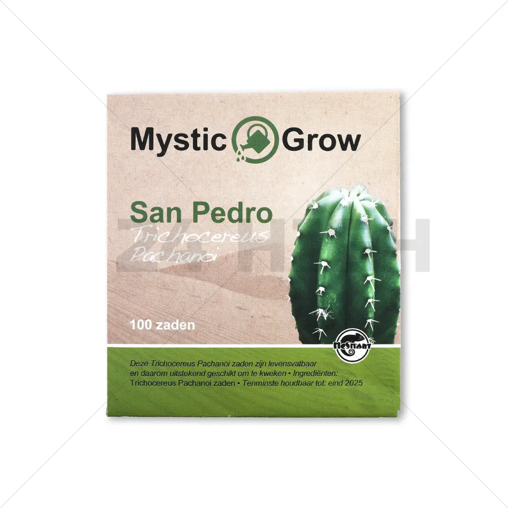 San Pedro seeds (Trichocereus Pachanoi)