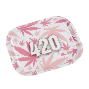 RAW Brazil 2 Girl Bikini Medium Metal Smokers Rolling Tray